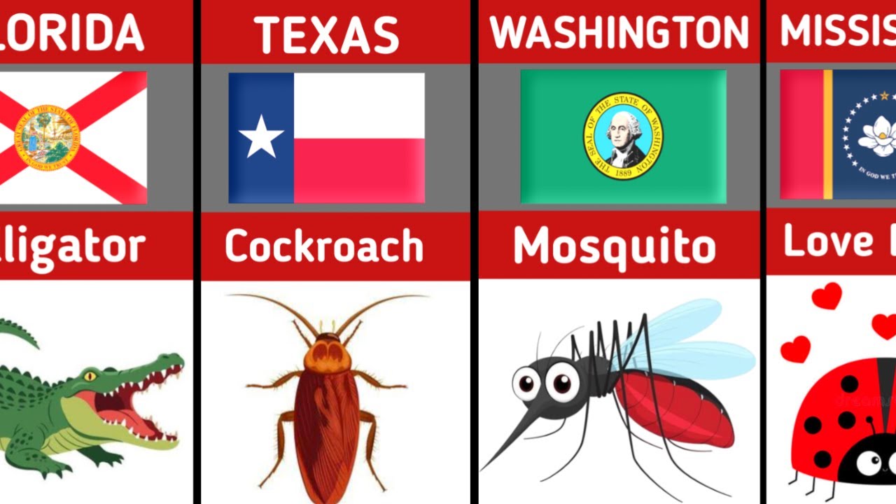 🐍Most Annoying Animal in Every U.S. State 🤢| 50 States, 50 Pests!