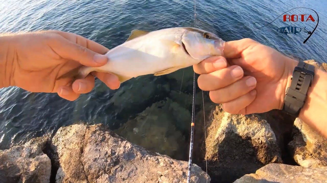 MİCRO JIG İLE ÇİNEKOP/ KUZU PALAZI/ TRAL AVLARIM.