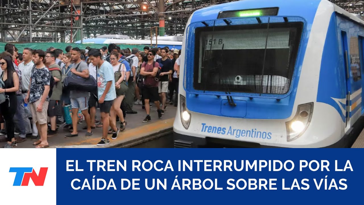 Se cayó un árbol sobre las vías y los ramales del tren Roca tienen demoras o están interrumpidos