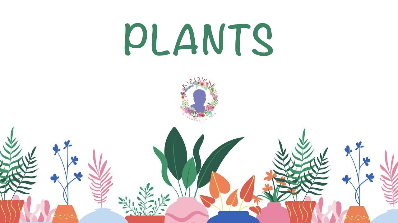 Plants for Class 1 | Plant World | Science Olympiad Class 1