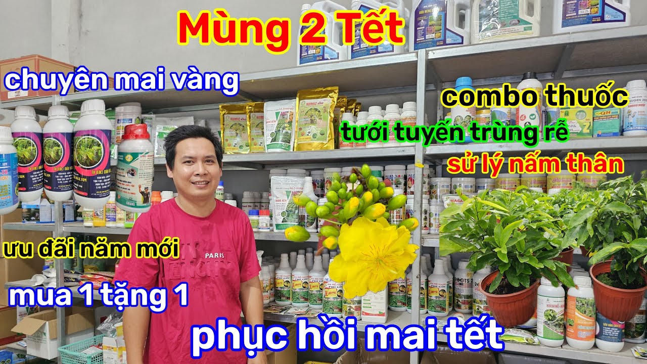 🌲18/2☎️Cửa hàng Anh phụng☎️combo phục hồi mai sau tết🌲1combo tặng 1 chai bọ trĩ🌲ưu đãi năm mới 