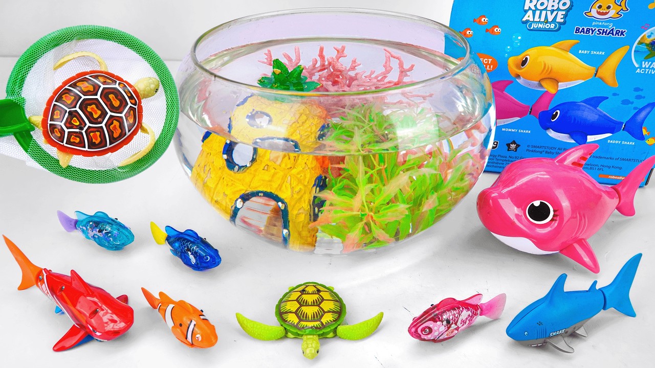 [🐟toy asmr🐢] Zuru Turtle & Baby Shark ＆ Robo Fish Tank Playset ASMR ⭐ Satisfying with Unboxing