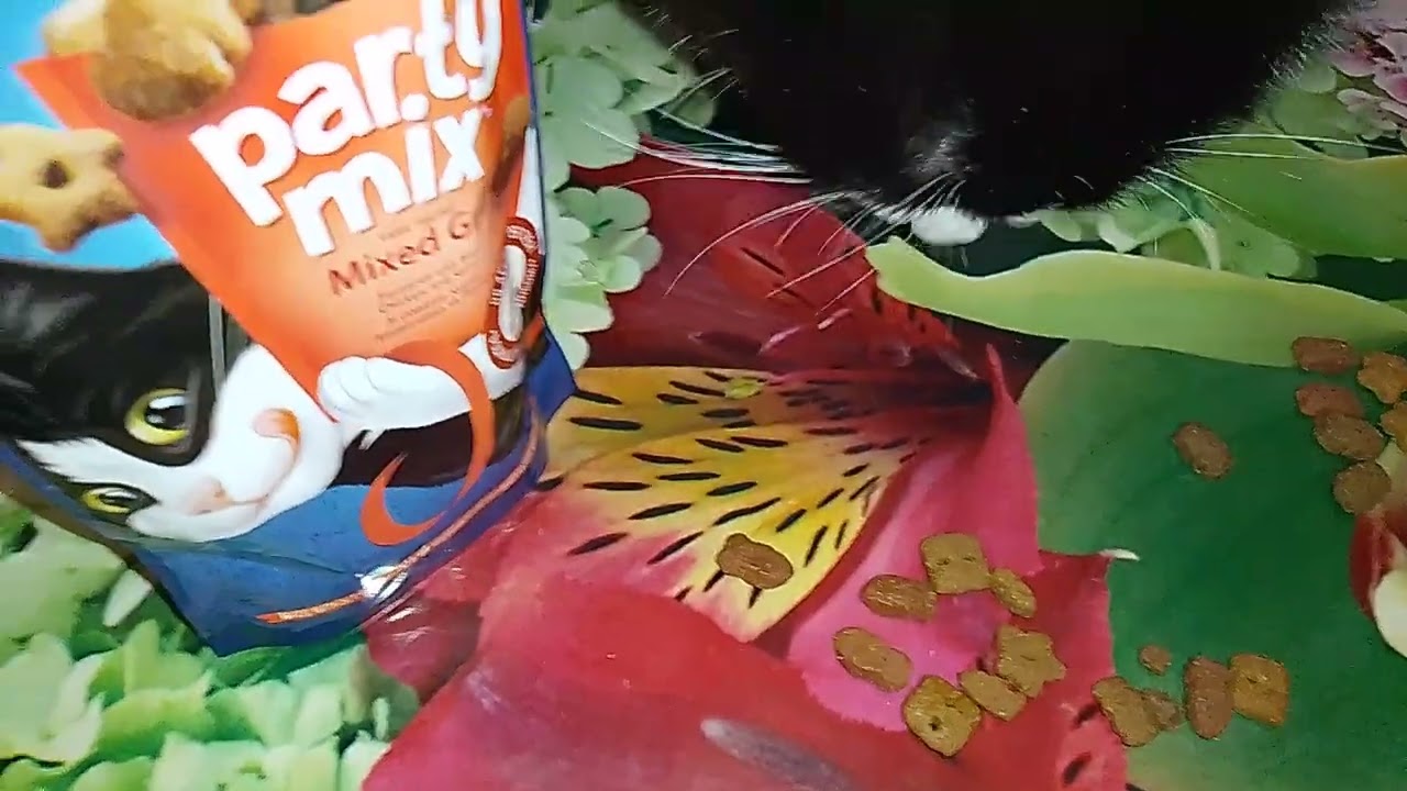 А У НАС