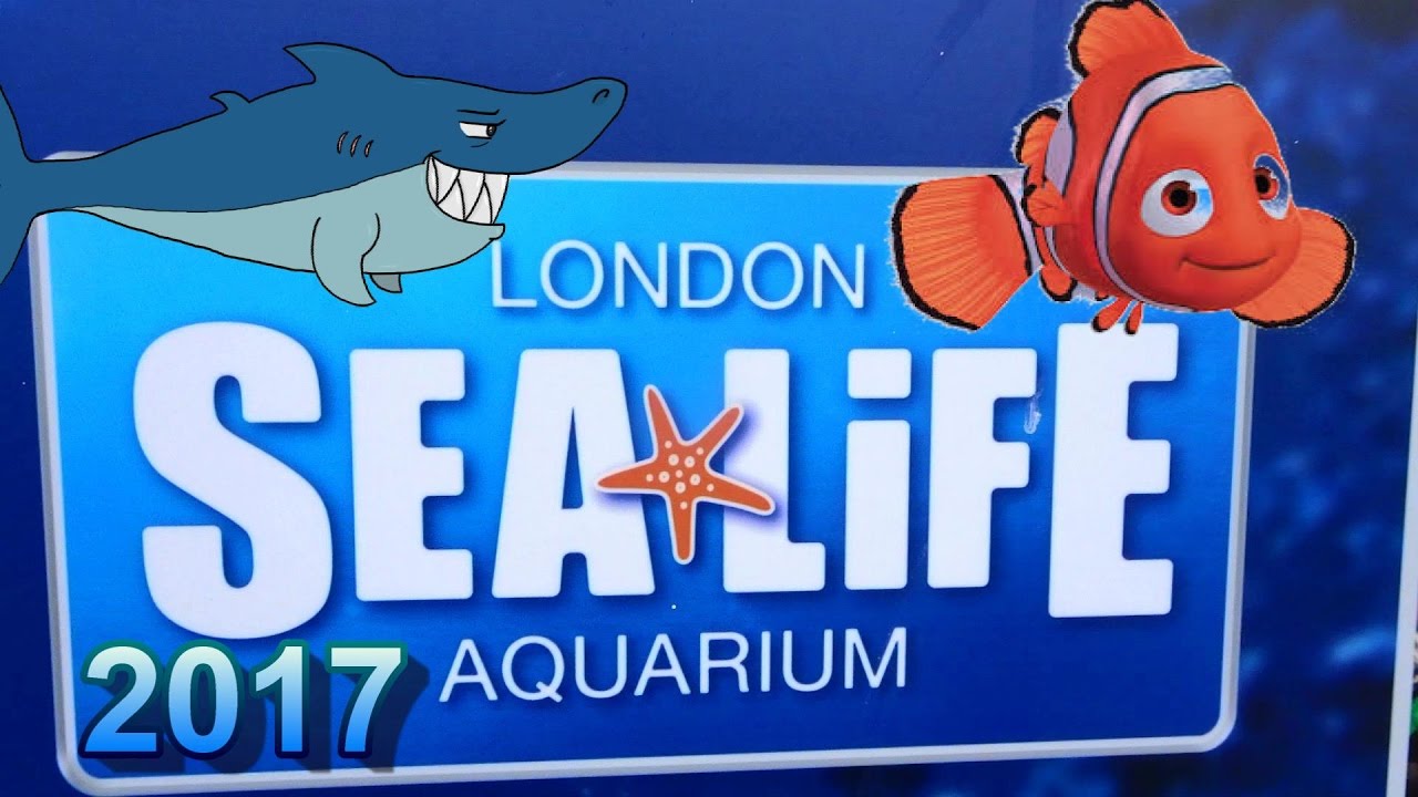 SEA LIFE LONDON AQUARIUM 2017