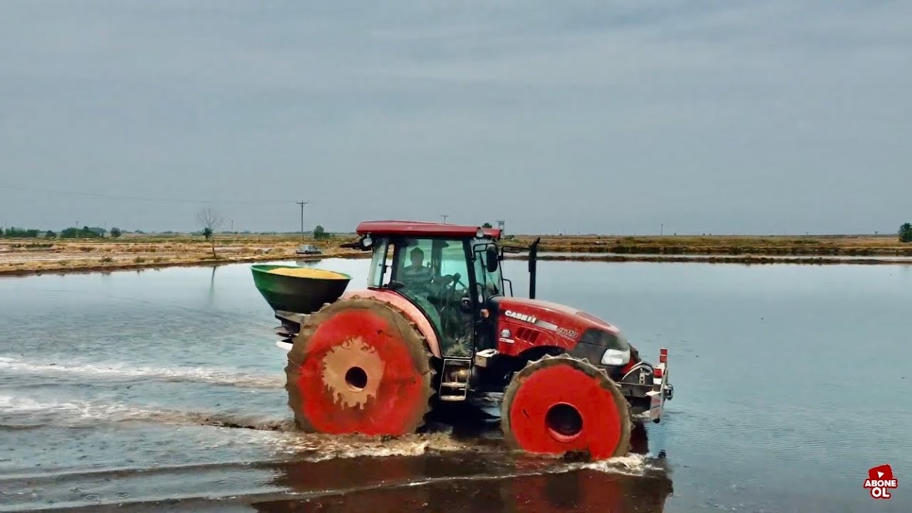 DEMİR TEKERLEKLE ÇELTİK NASIL EKİLİR ? CASE JX110 | Paddy Cultivation With İron Wheel