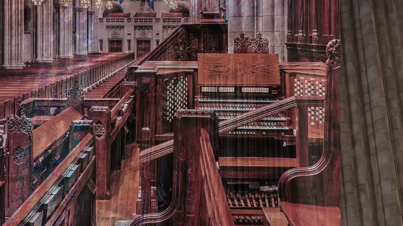 J.S. Bach - Fugue in D minor, BWV 565 - Andrew Shenton
