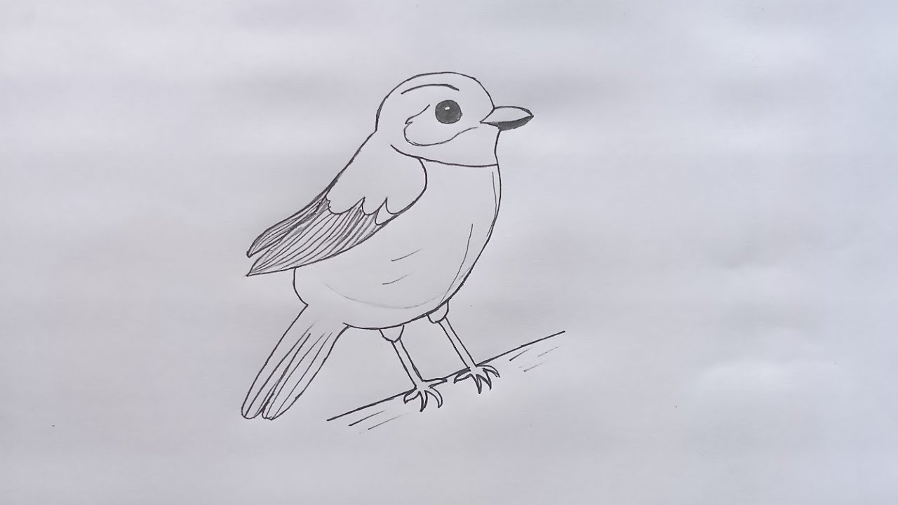 Bird drawing 