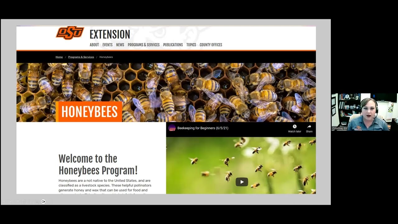 Episode 6: Beekeeping