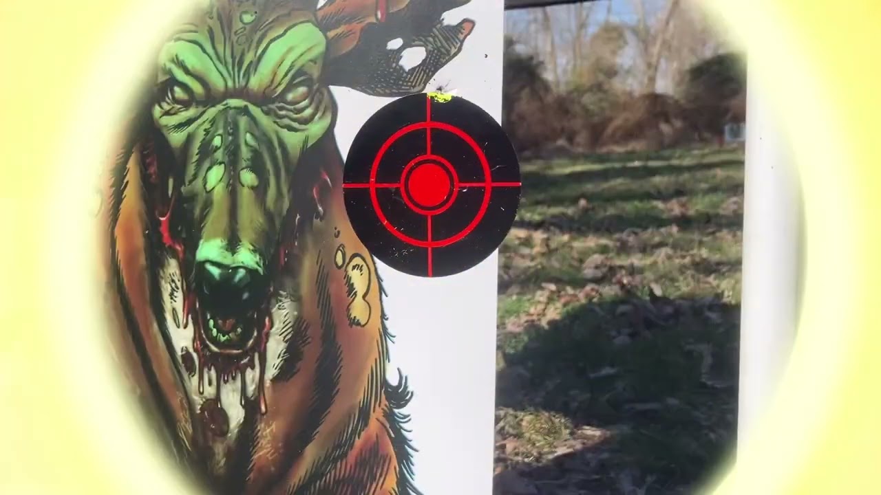 Umarex Notos & Benjamin match pellets 25 & 50 Yards 💥🔫👍