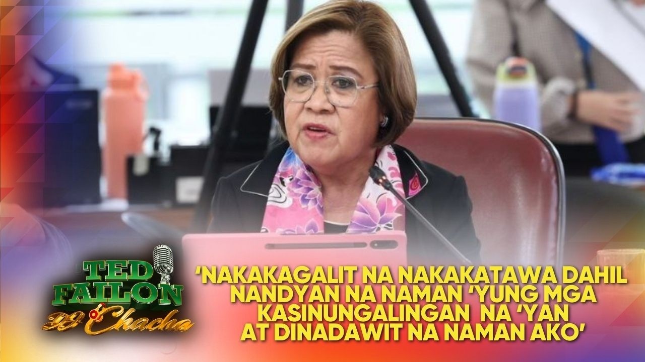 Rep. De Lima, itinanggi ang paratang na tumanggap siya ng male-maleta o paper bag na may pera