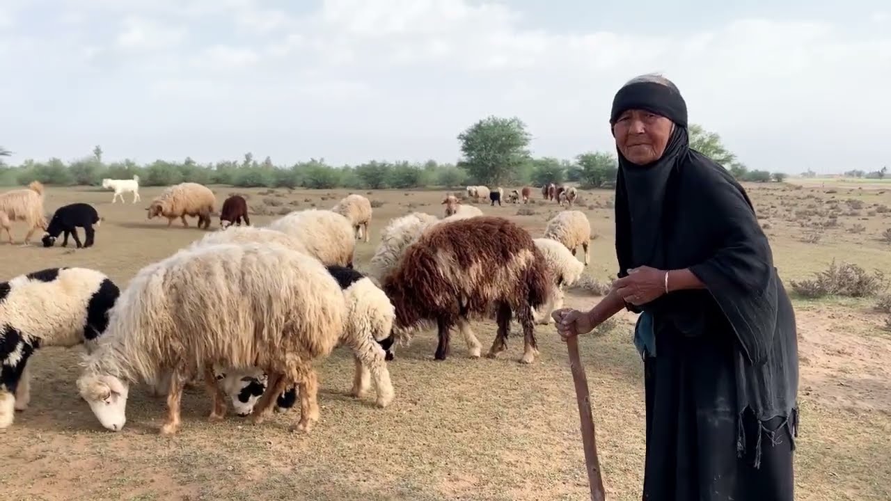 Arabic village life style long routine 