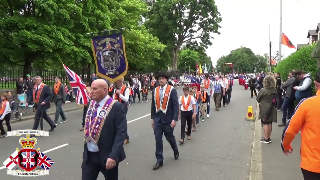 County Down @ Junior Grand Lodge Of Ireland In Lisburn 2025 (Main Parade)
