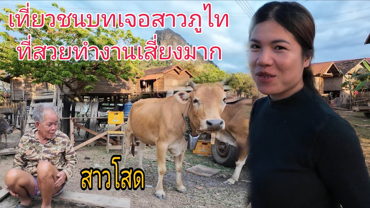 เที่ยวชนบทเจอสาวภูไทที่สวยทำงานเสี่ยงมาก#เก็บกู้ระเบิดบ่ทันแตกสุตรอันตราย