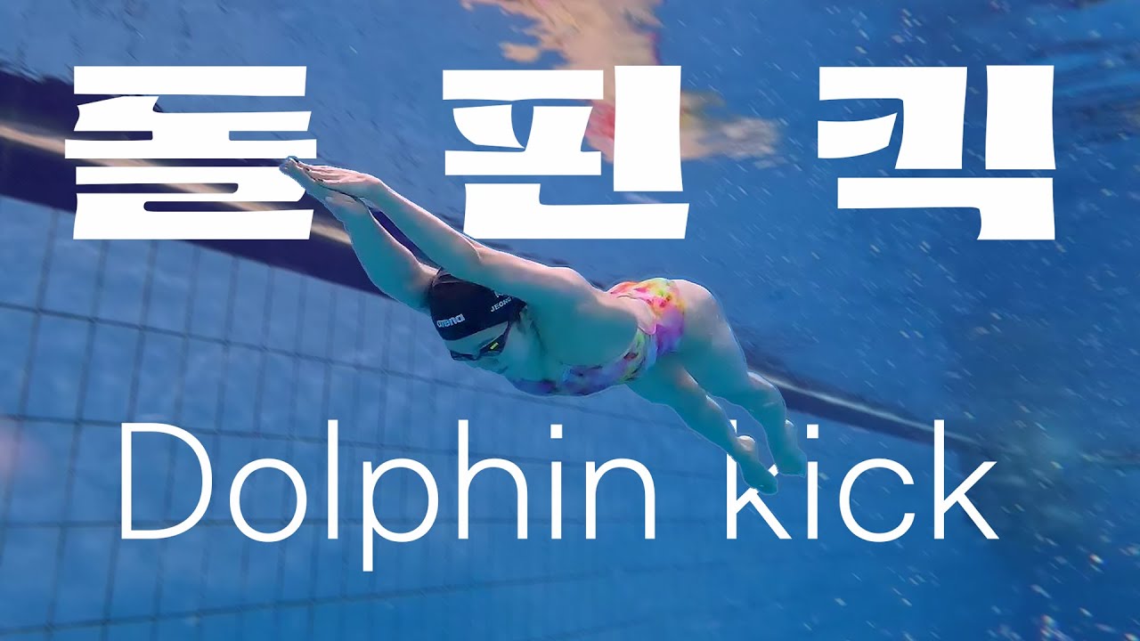 🏊‍♀️국가대표 정소은 선수가 알려주는 돌핀킥 특강!🐬