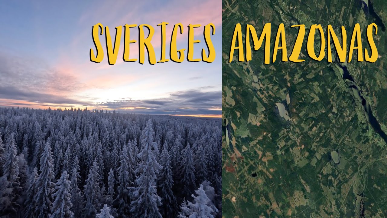 Sveriges Amazonas