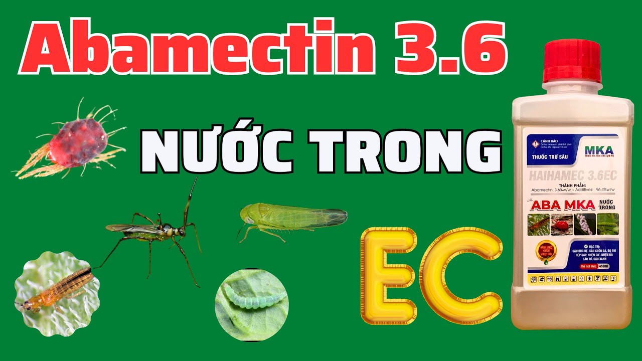 Abamectin nước trong 3.6 | Khác biệt gì với nước đục và Emamectin? Sử dụng như thế nào hiệu quả?