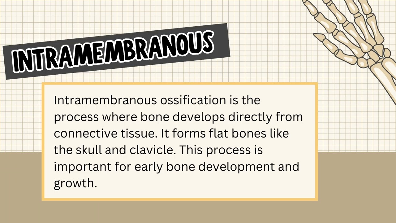 The Skeletal System