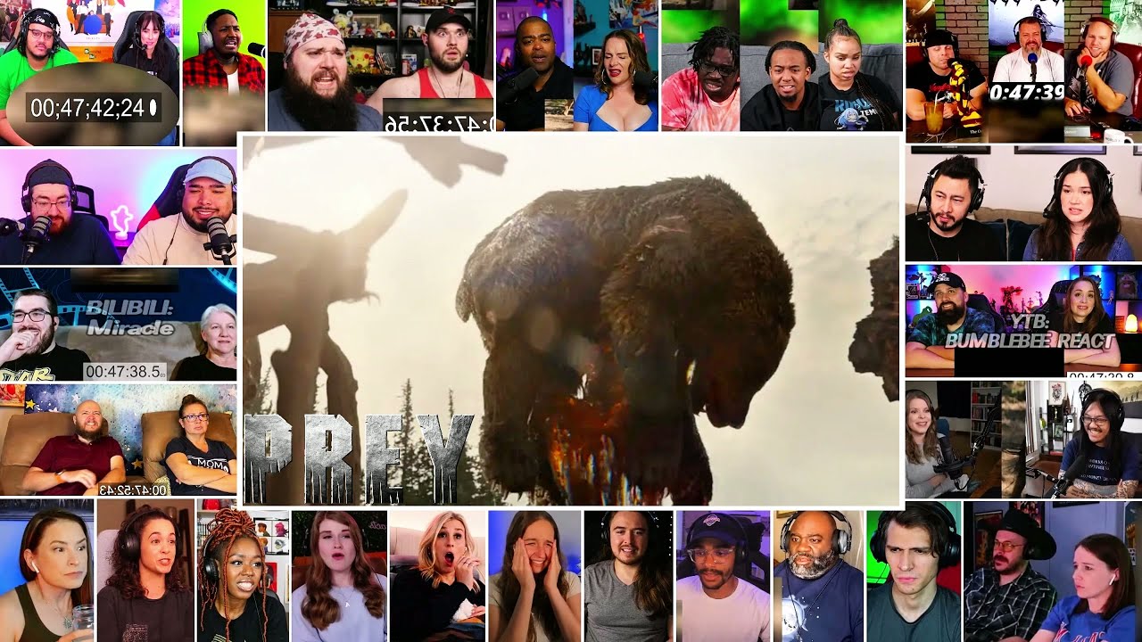 Bear vs Predator Fight Scene | Prey (2022) reaction mashup
