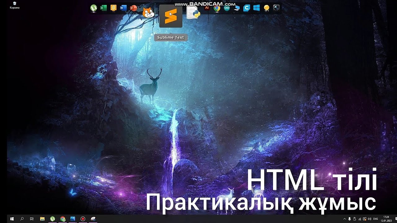 10-сынып. HTML тілі. Практикалық жұмыс. Sublime text-те жұмыс жасау