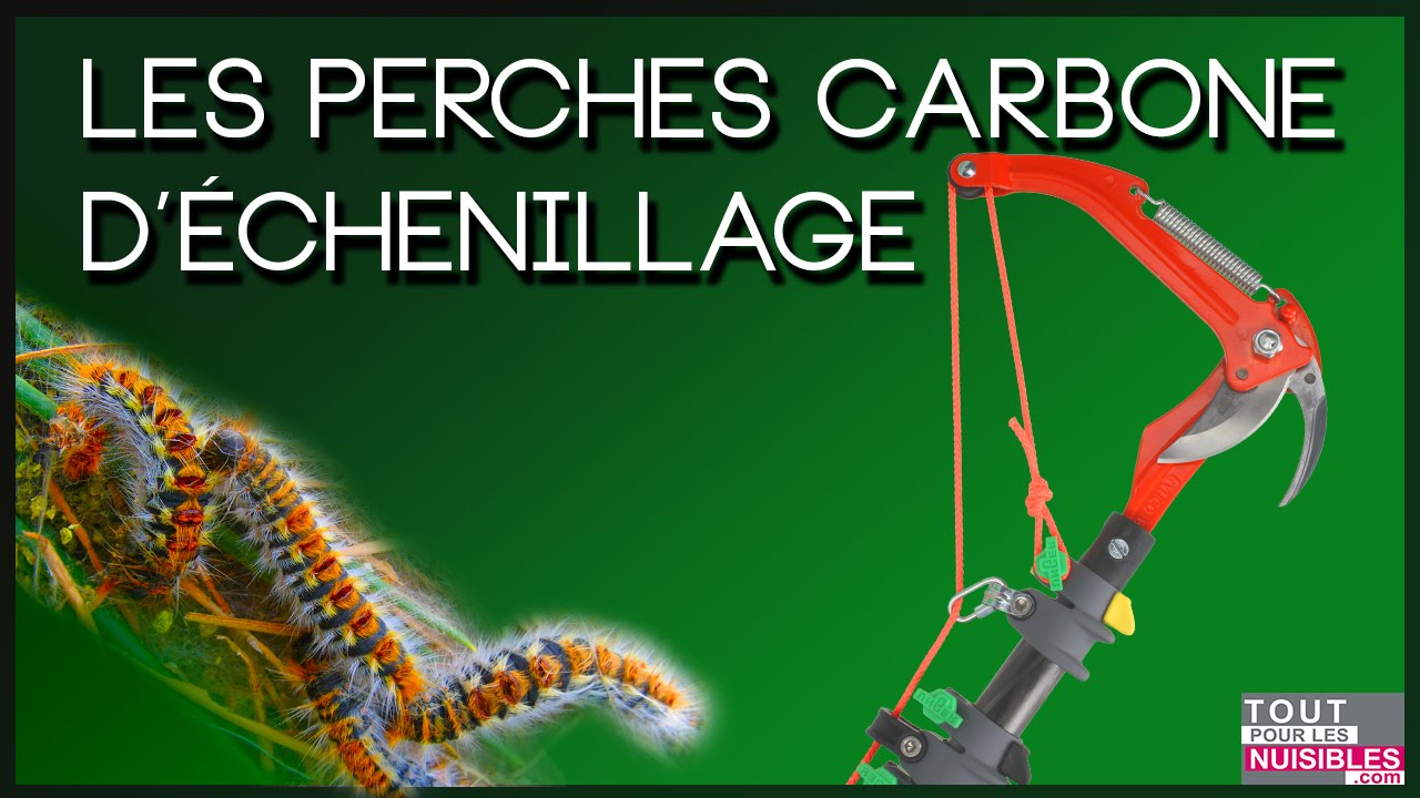 Les perches carbone d'échenillage