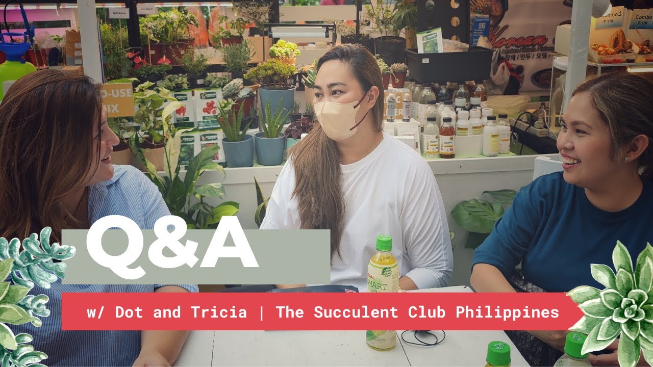 PLANT CHIKA | Q&A with Dot and Tricia: Succulents, The Succulent Club Philippines, & Plantchella 🇵🇭