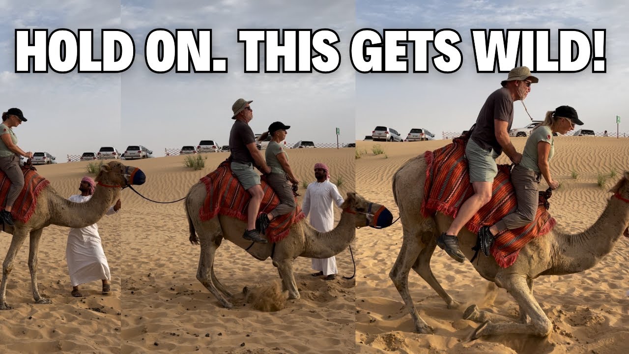 This Abu Dhabi Desert Safari Is UNREAL! 🇦🇪