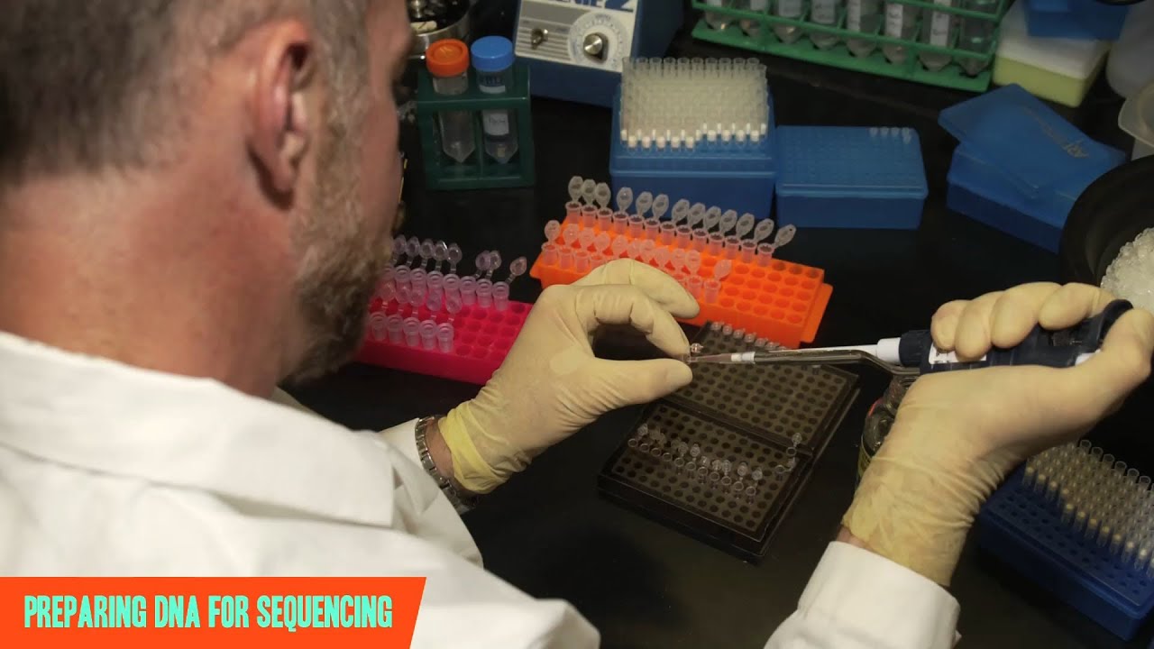 3 Sad Surprises: The Human Genome Project