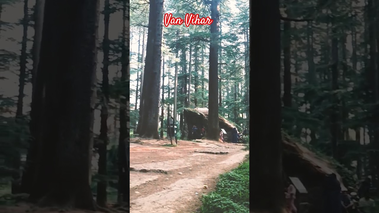 Van Vihar Manali &ndash; Nature Lover&rsquo;s Paradise in 15 Seconds!