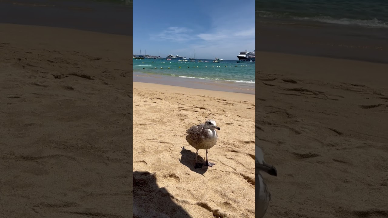 Cosita bella!! 🩵🩵 