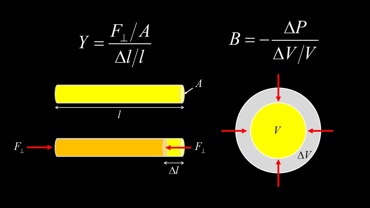 Introduction to Elastic Moduli: Young's Modulus & Bulk Modulus starting from Hooke's Law + Examples