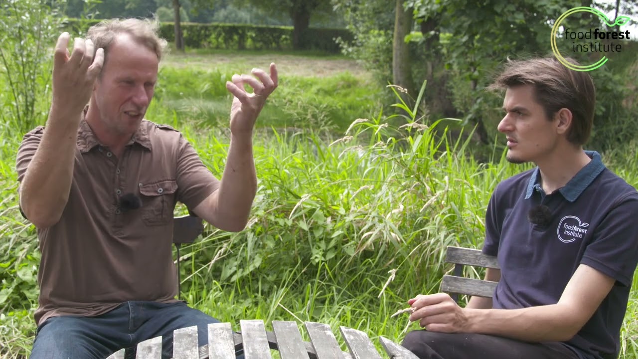 🌳 Wat zijn de beste appelvariëteiten 🍎 Lombarts Calville | Louis De Jaeger