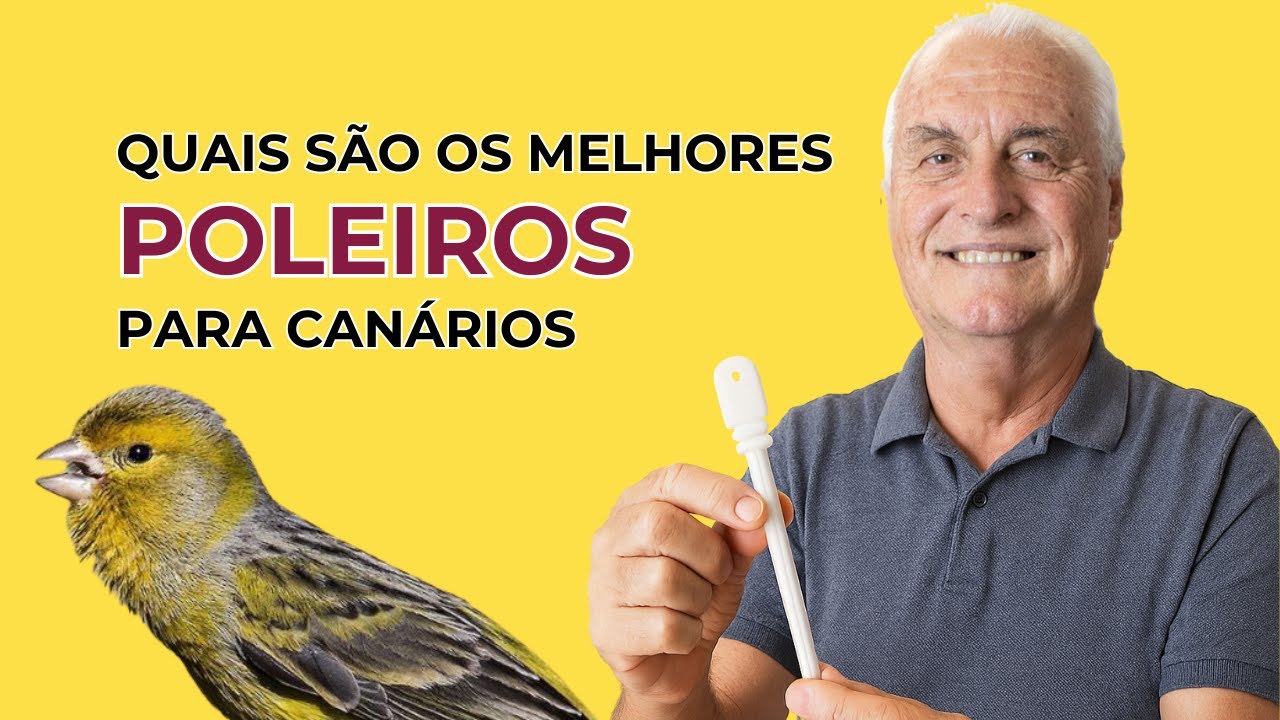 Descubra o Segredo para um Poleiro de Canário Perfeito