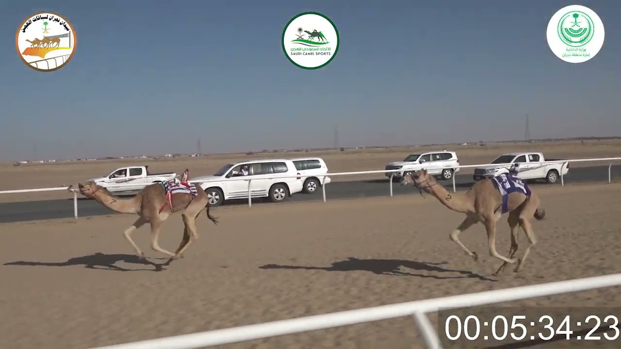٨/ بكار جذاع / ٥٠٠٠م/ المملكه/ محمد بن ناصر القحطاني