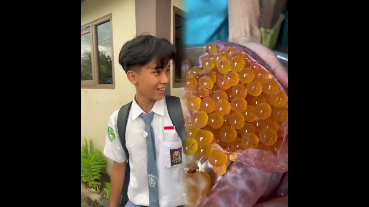 🤣👌👌👌2025 POV: Kumpulan Klip Gila yang Wajib Ditonton #humor #fypシ #pov #fyp #foryou 😍😜
