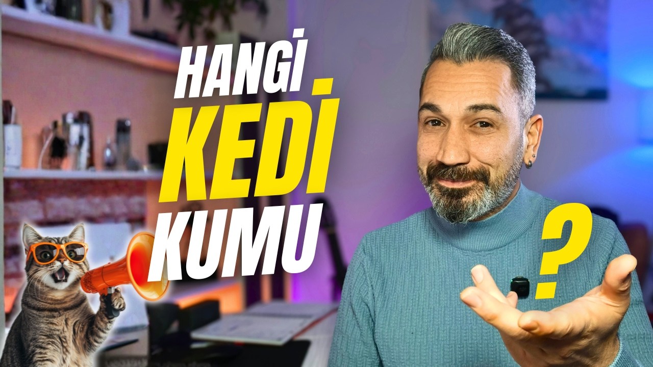 En İyi kedi Kumu Var Mı? Ne Tür Kum Almalıyım?