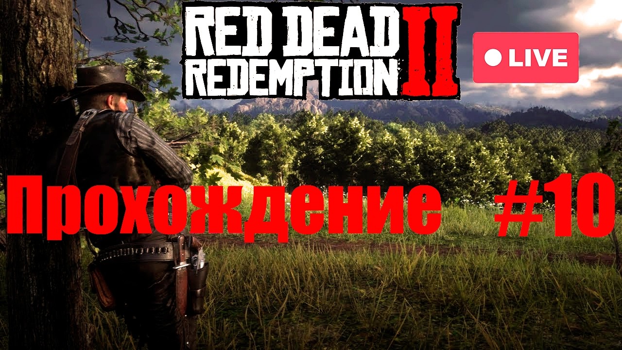 Играю в RED DEAD REDEMPTION 2