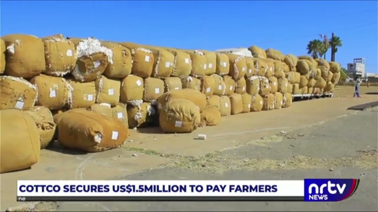 COTTON FARMER PAYMENTS RESUME: Courtesy of NRTV