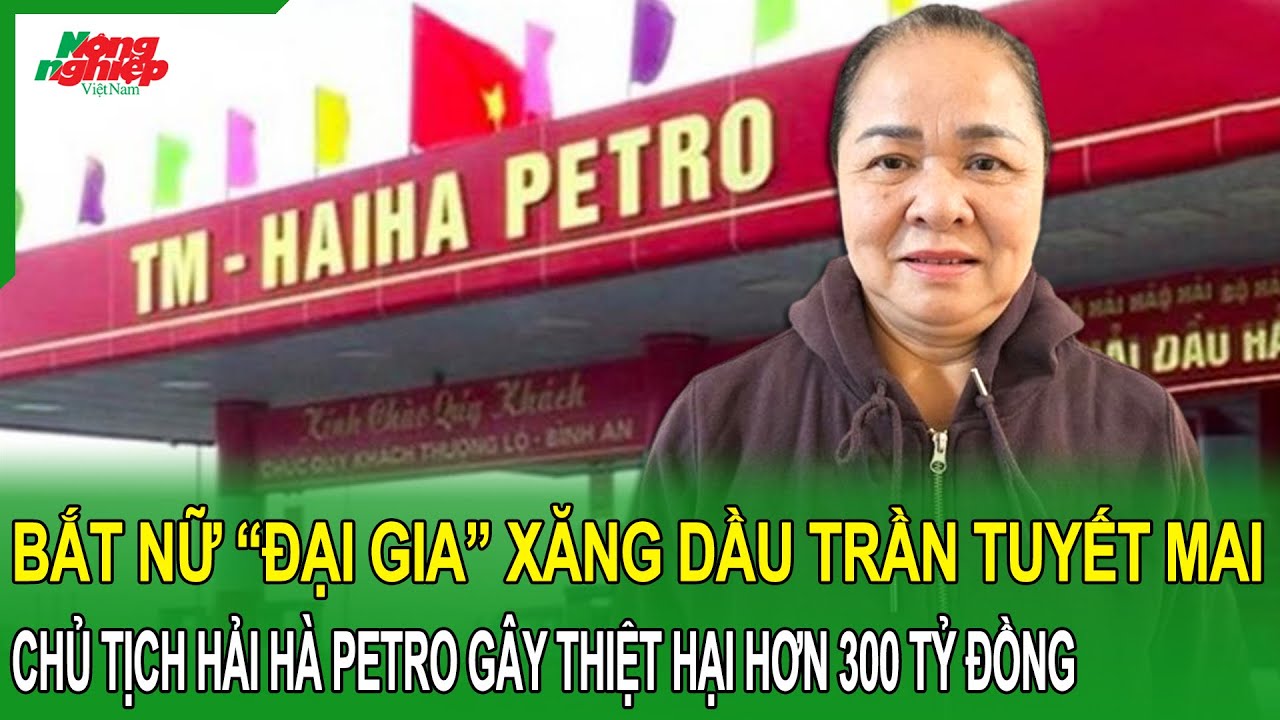 Gây thiệt hại hơn 300 tỷ đồng: Ra quyết định bắt tạm giam nữ Chủ tịch Hải Hà Petro Trần Tuyết Mai