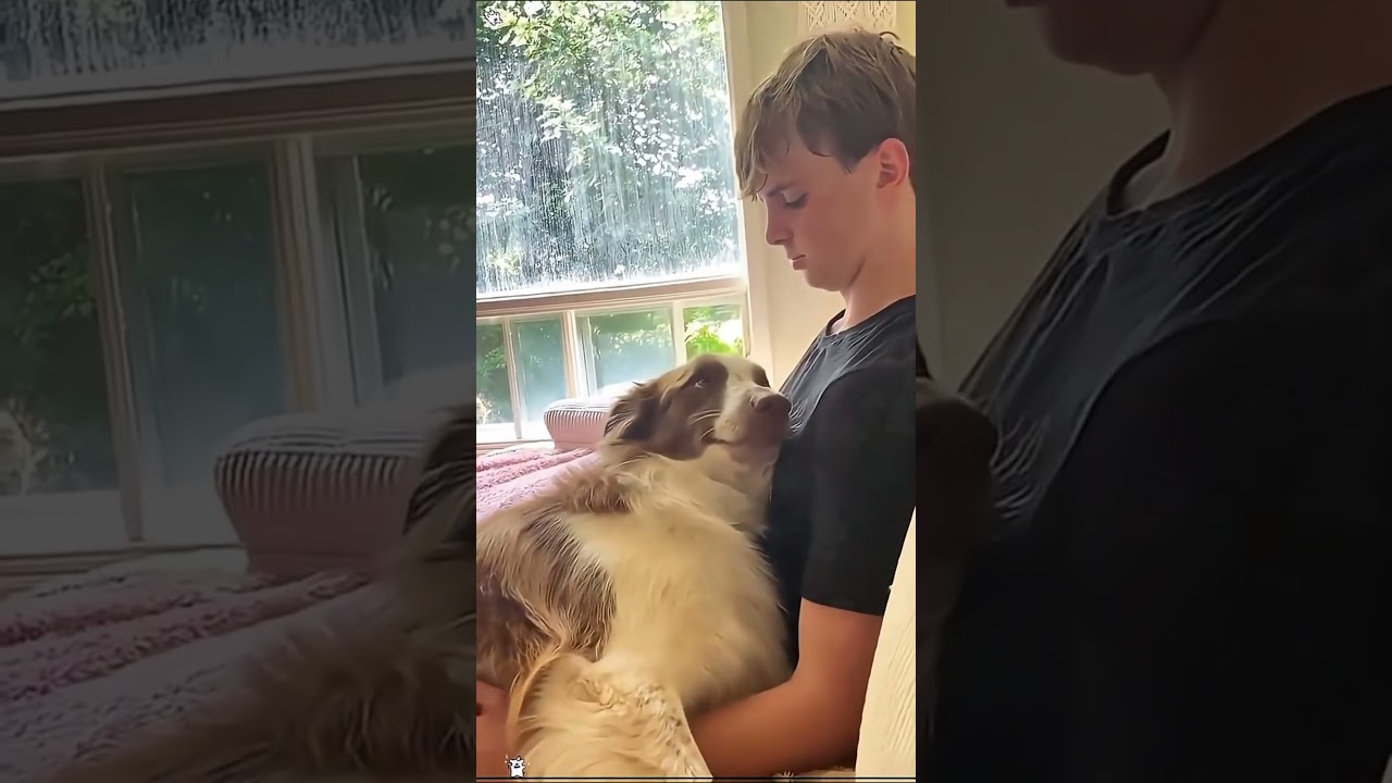 Спасибо за просмотр, спасибо за лайк, желаю вам счастья. #pov #foryou #storytime #fyp