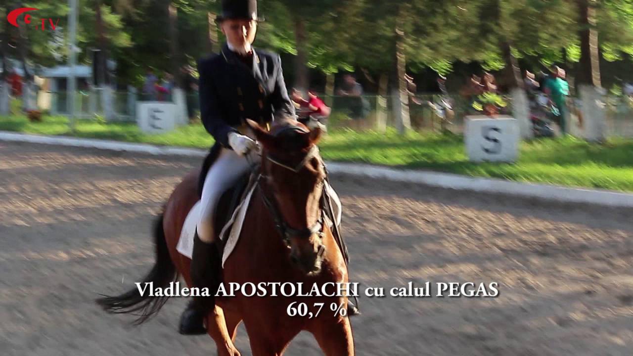 Cupa Stefan cel Mare 2016 - Prix St. George