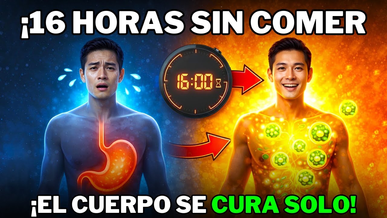 El Secreto Japonés que Activa la Limpieza Celular: Quema Grasa y Revierte el Envejecimiento Muscular