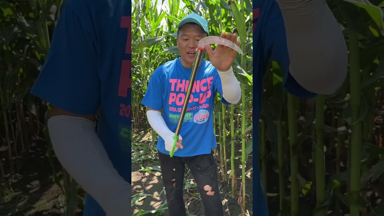 Rural Farmer #7770