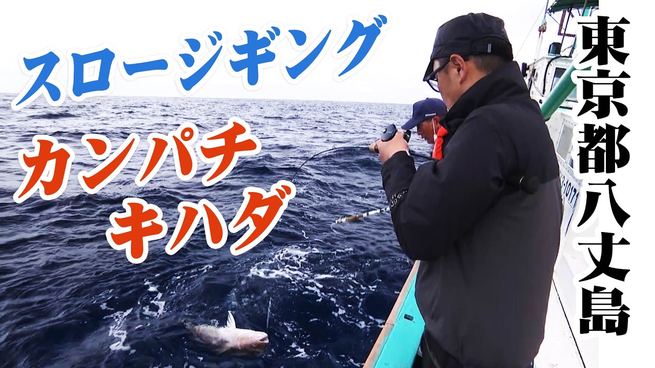 清水一成が八丈島でスロージギングを展開！カンパチやキハダなど30キロを超える大型魚を狙う！ 『Dz SALT 2ND 21』＜フルver＞【釣りビジョン】