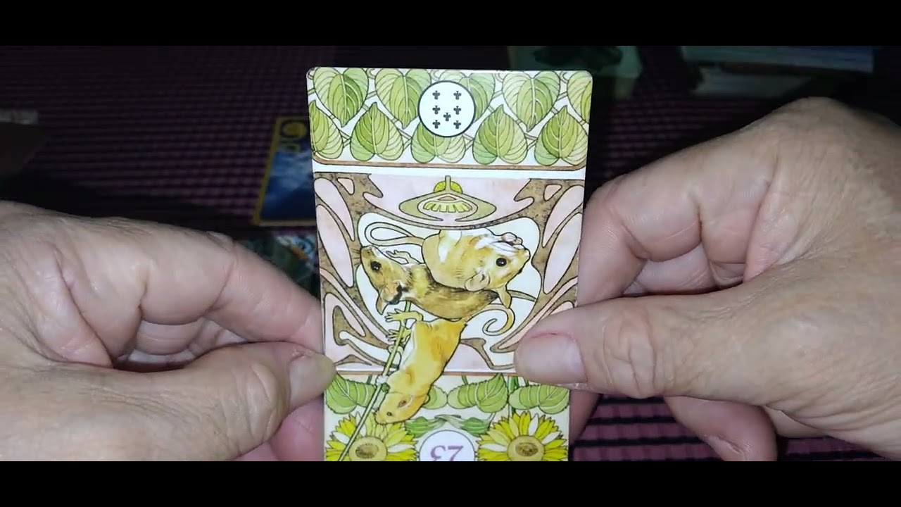 Ele(a) realmente me ama? Se sim, porque não demonstra?