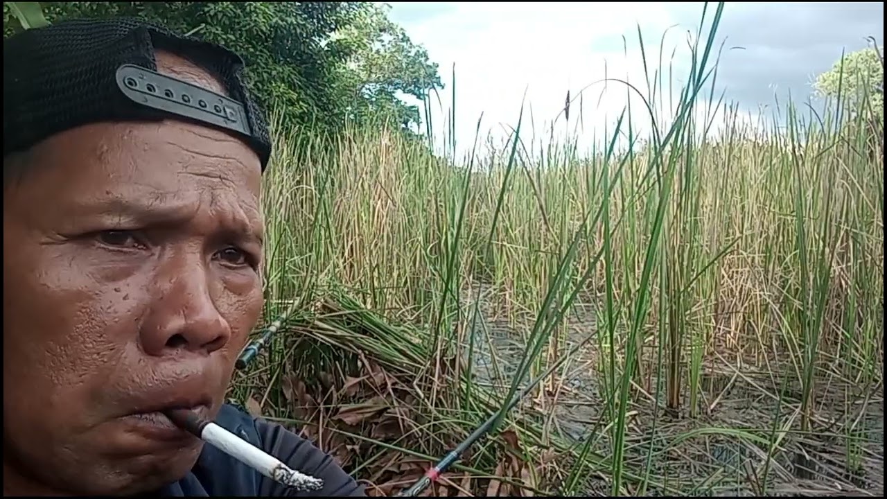 STREK IKAN BETOK BESAR DI TEMPAT SPOT PAPURIT.