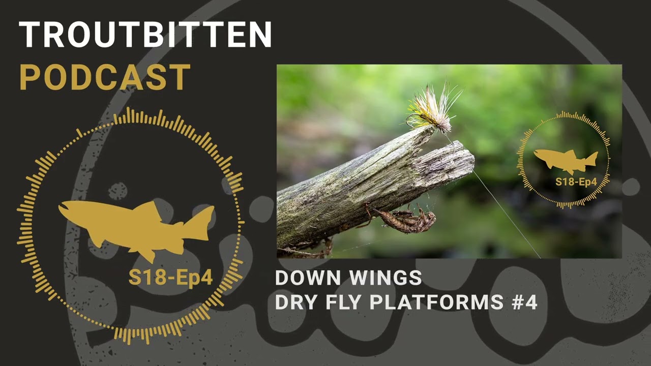Down Wings - Dry Fly Platforms #-4 The Troutbitten Podcast - S18, Ep4