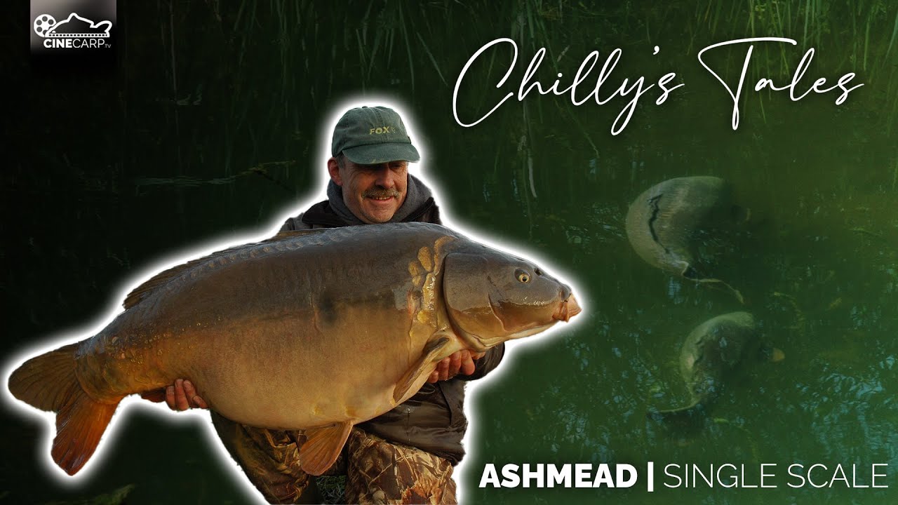 Chilly's Tales | EP 1 | Ashmead - Single Scale