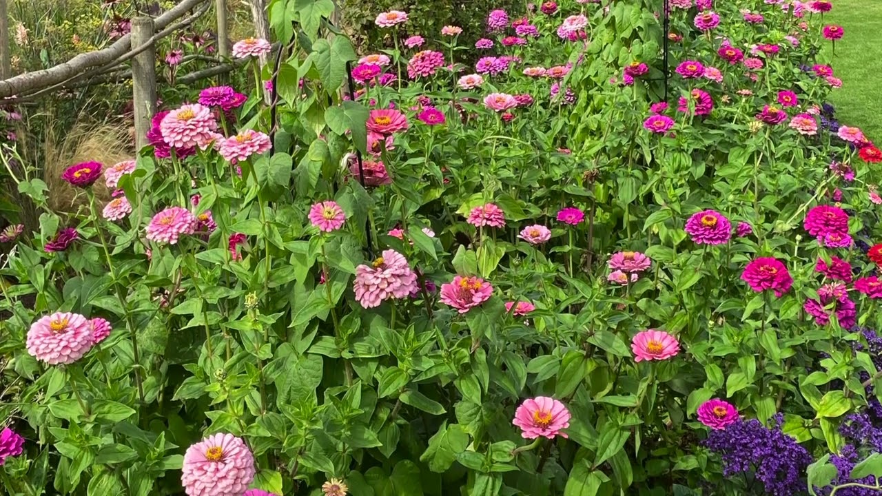 Easton Walled Gardens September 2023