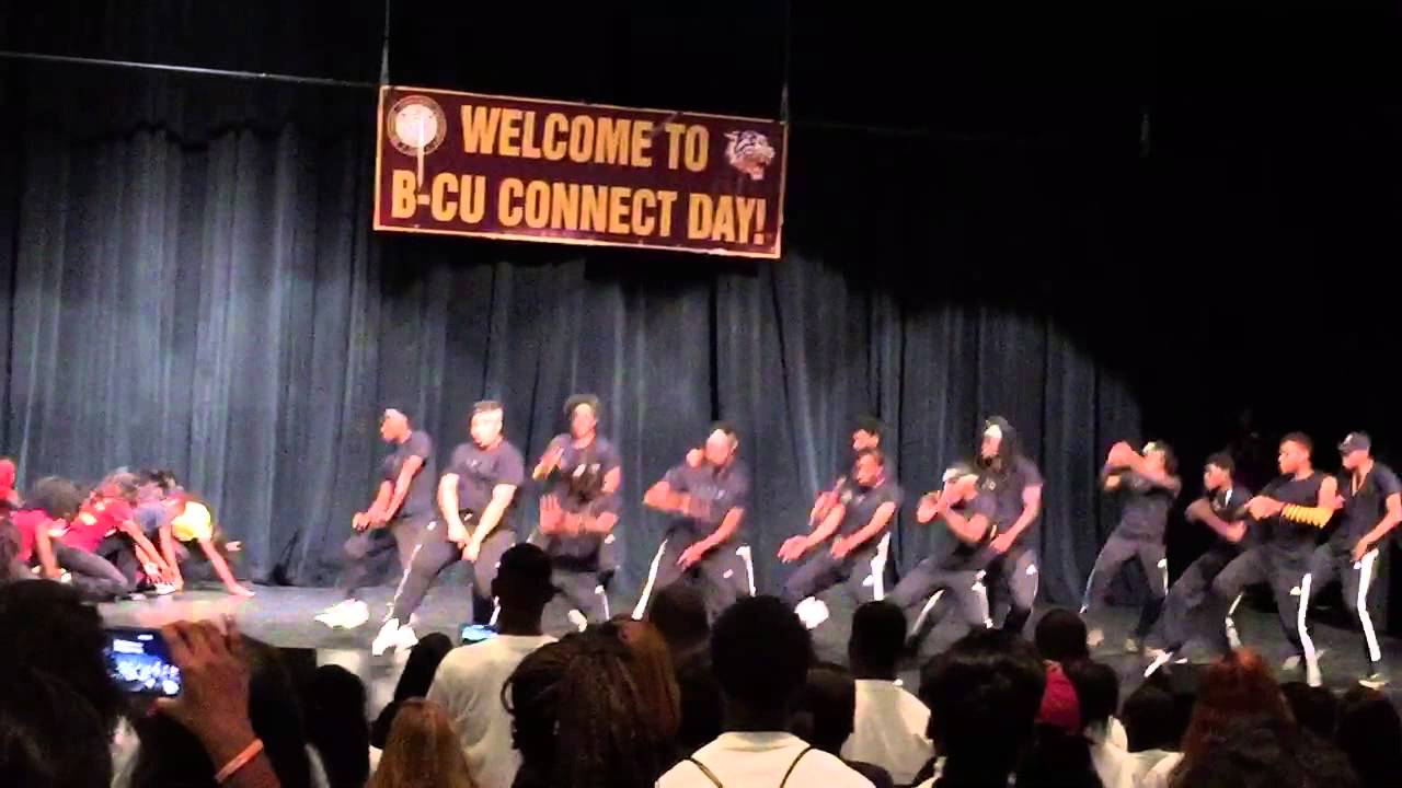 What's Next Dance Company : Senior Day 2015