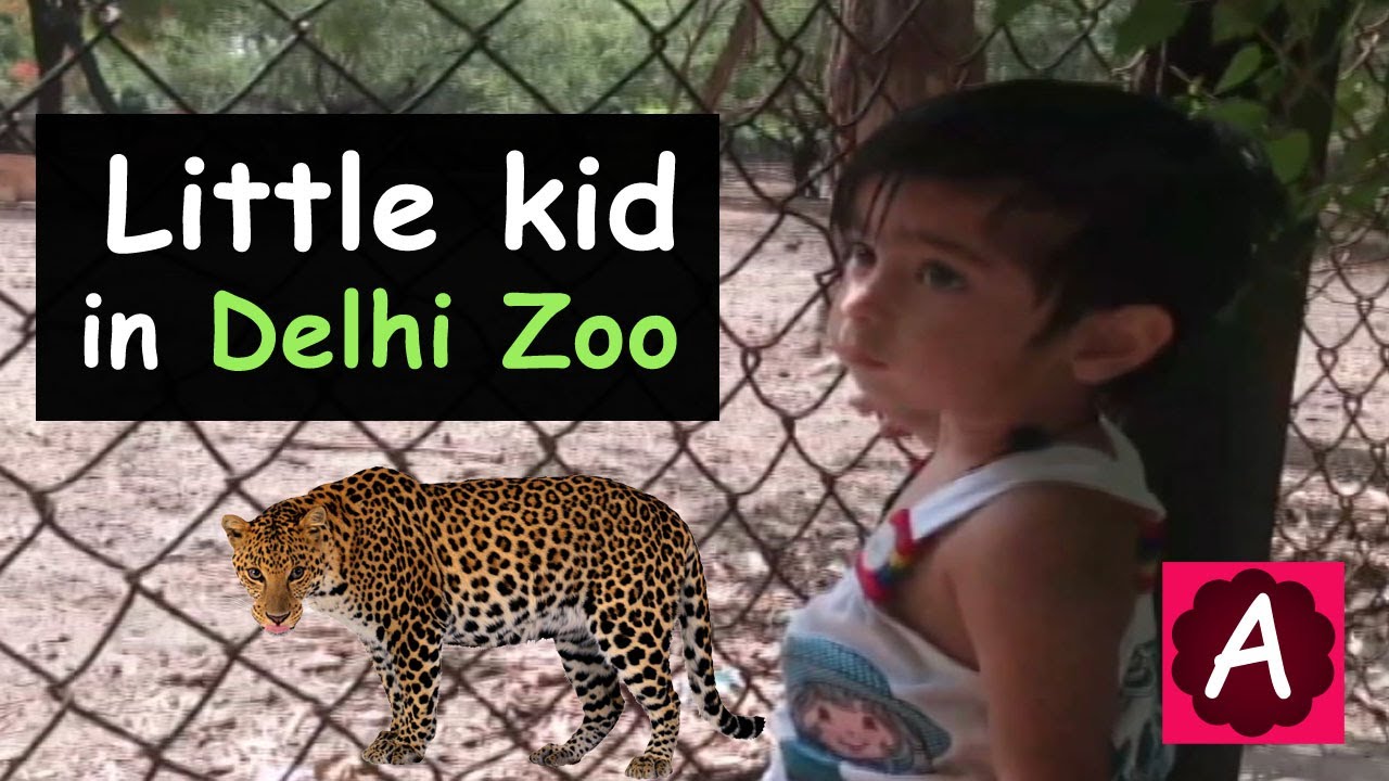 Delhi Zoo Visit |  Delhi Zoo Timing 2019 | Little Kid in delhi zoo